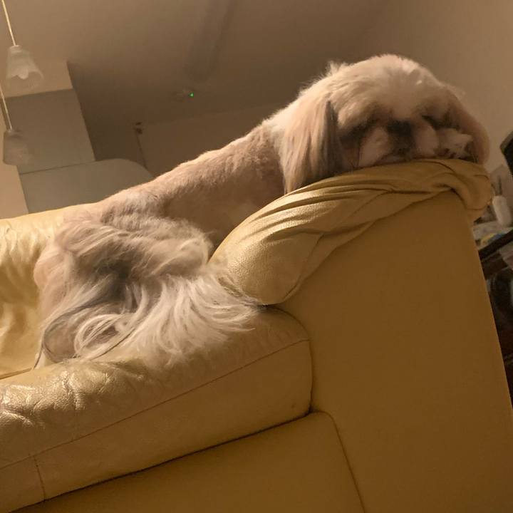 1c40010c b556 43f2 b902 1592e5bfe270 1686407467558