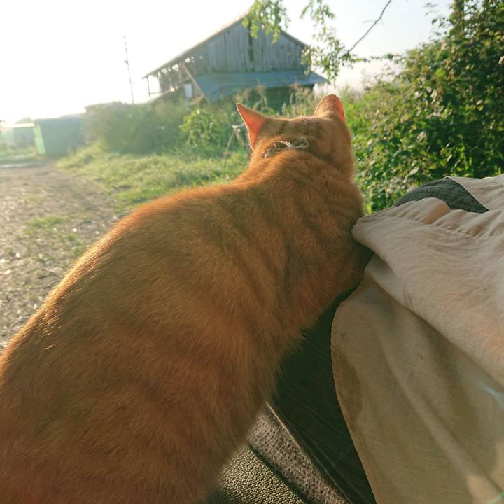 1c40ba08 973c 4b03 8ae3 e5bf55cb8ea6 1597093397455