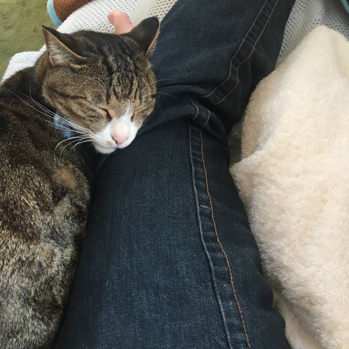 1c40bec1 1f10 4937 a1af cb24fa4ffa57 1701488360565