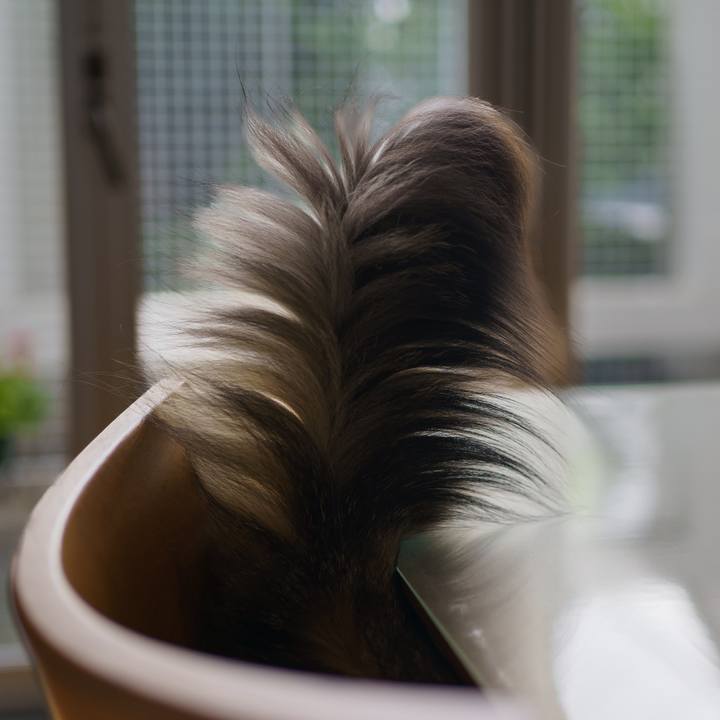 1c40e1f2 40a4 4ba7 95ed f1e0941b5682 1655800960347