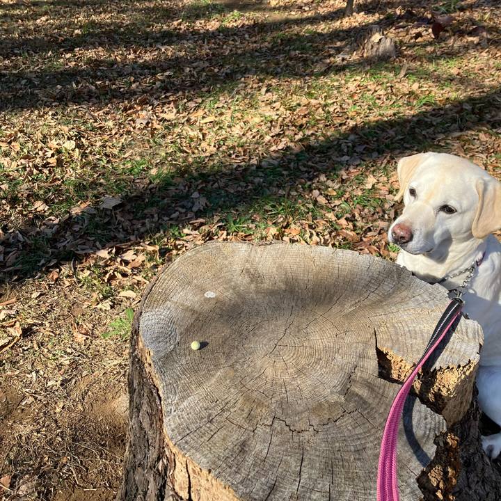 1c418459 42e0 4499 8bfa 90ea3f5f0a07 1673411839804