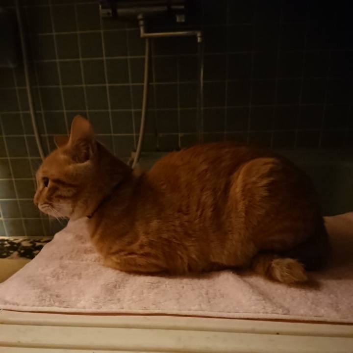 1c419ab6 f707 406f b131 e4ee9c879678 1637315547118