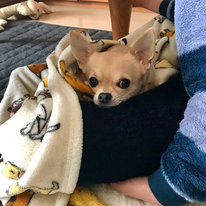 1c41d623 3736 4f41 8251 4a9a9ac2f987 1553303152788