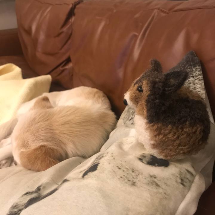 1c41ebca 7541 495a b298 b906ed3142e0 1515933932503