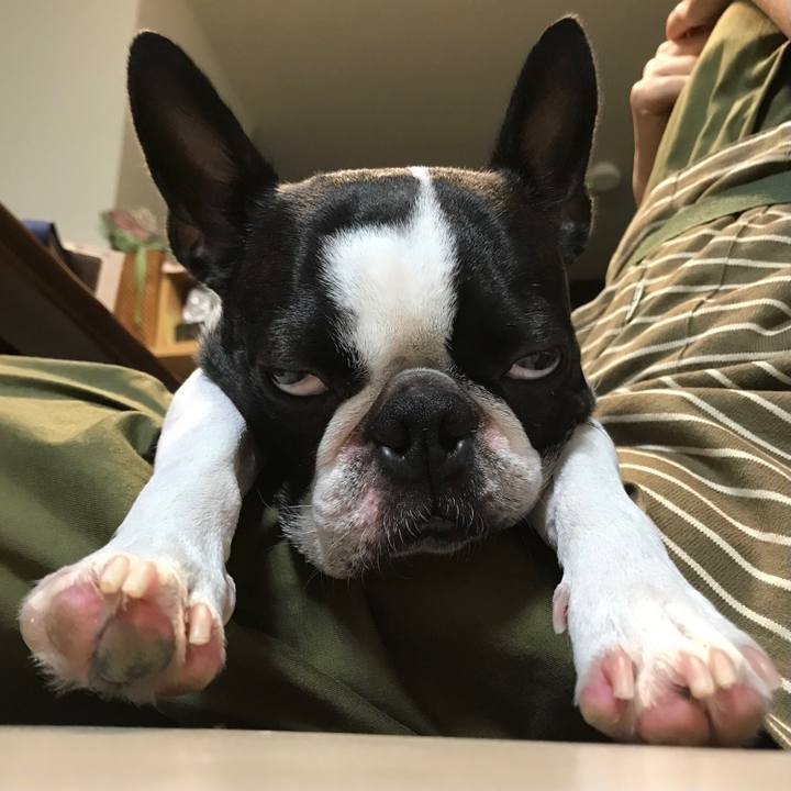 1c420909 7c6b 4010 bc00 70c60c7e65b6 1631422929057