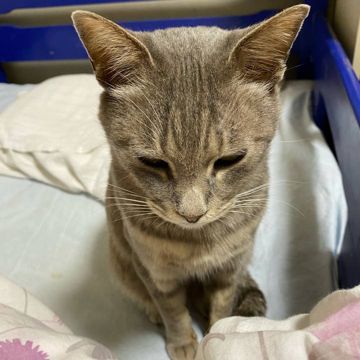 1c422200 23db 4ecd 9be3 f2b810964136 1587475419580