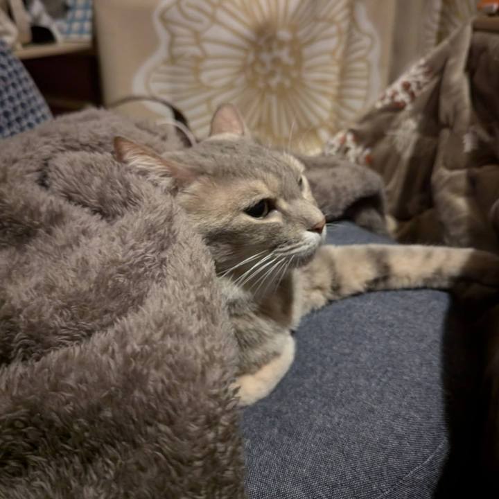 1c425afa 67e2 4581 a439 cf29cc8a227b 1731117675959