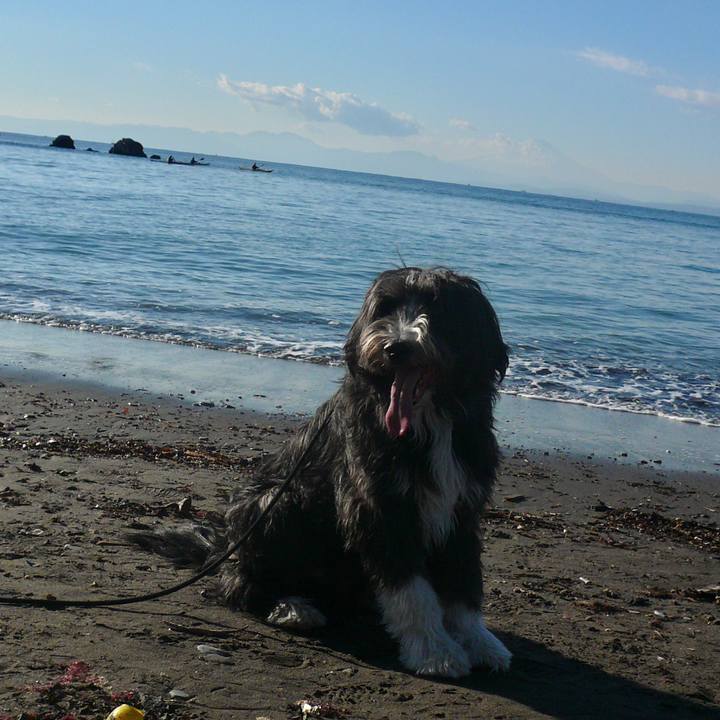 1c426c9b 1fac 4752 8b23 3a80a0307a8e 1517391075489