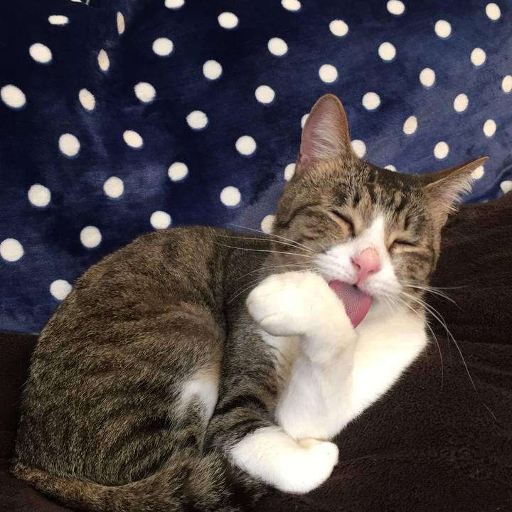 1c4296b3 cf3e 4ac2 a06e 1e4884c12a1c 1548641104771