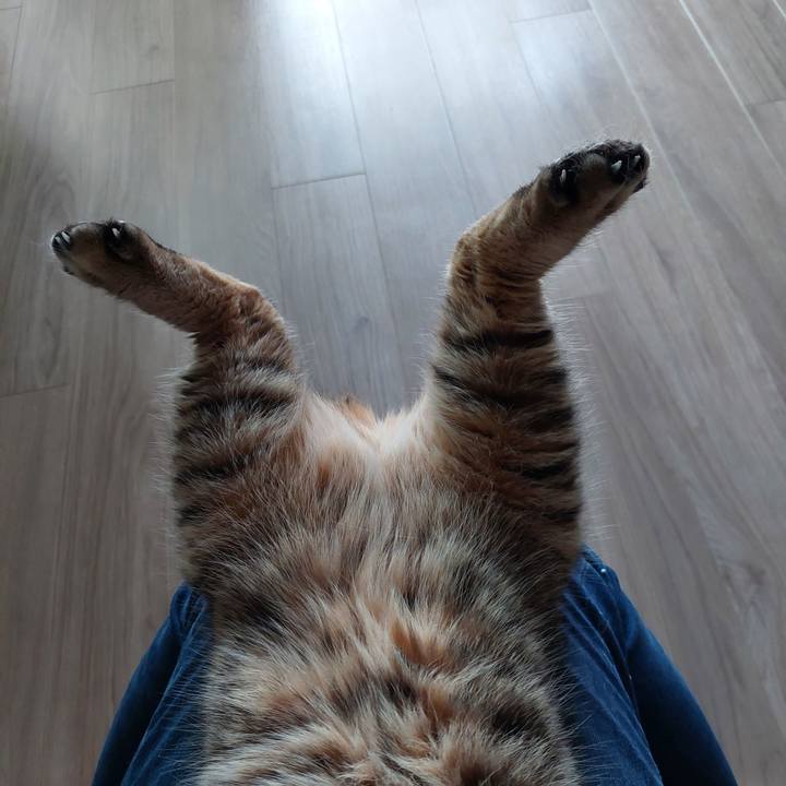 1c42985a f349 4c23 92d8 2914a09a03dc 1746228852863