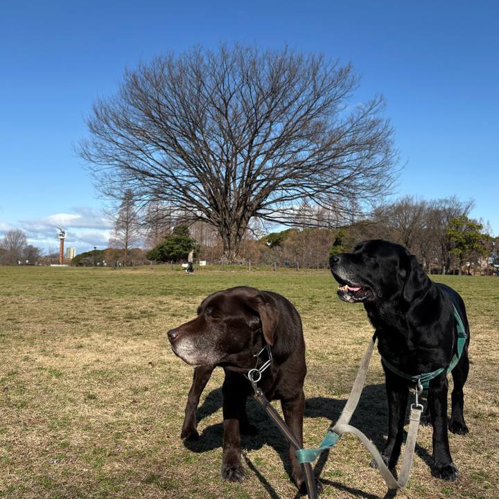 1c42e1f8 fcb0 48d5 a4f9 1bcd9364d492 1772365426880