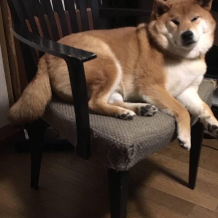 1c42f3b4 7290 4090 8b89 7699dd3babf9 1543647732195