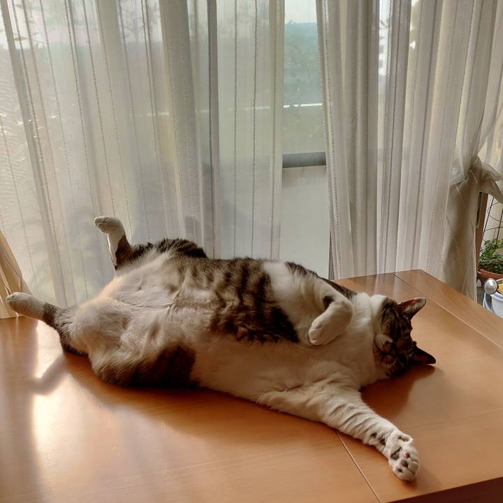 1c42fc88 f420 40cf 831e b29c43983090 1588463390496