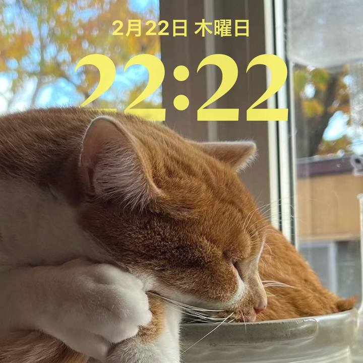 1c4311d3 9320 44fb b2bd 33a9631ec492 1708608317799