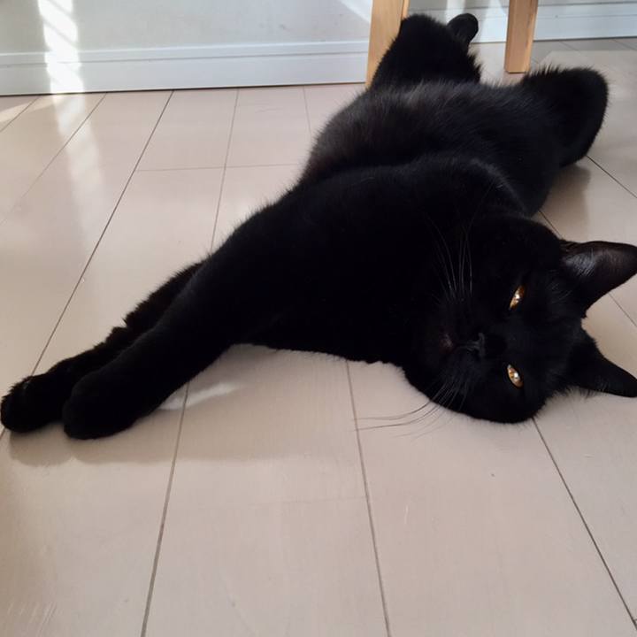 1c4322ac a916 48c9 941c a3349f365f1d 1558221719713