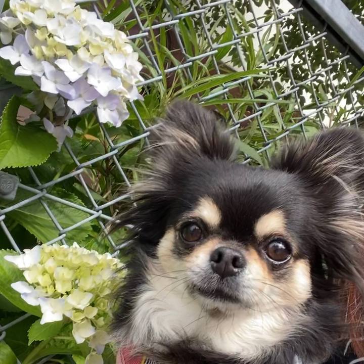 1c432b79 06fd 43cd 8061 a0ccdda6d5ab 1622416926841