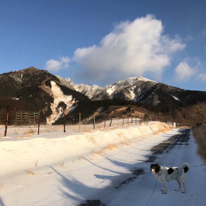 1c4352a0 4fd9 437b 86b7 ada243c234dc 1518701803207