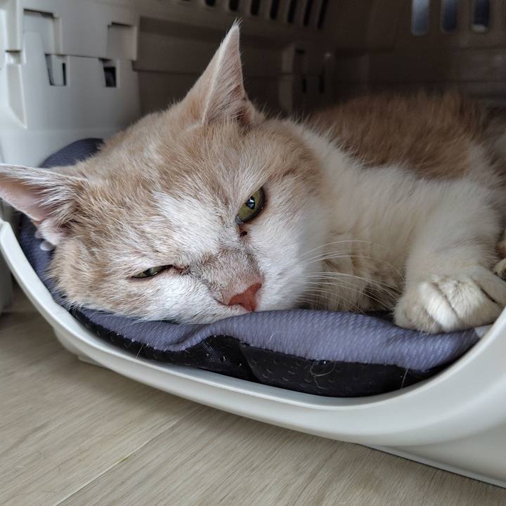 1c4367af 1703 46d2 8586 12be49c98de7 1758582447191