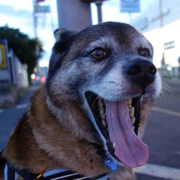 1c438a20 f9d6 4266 a037 f2d6d33f366a 1530281010079