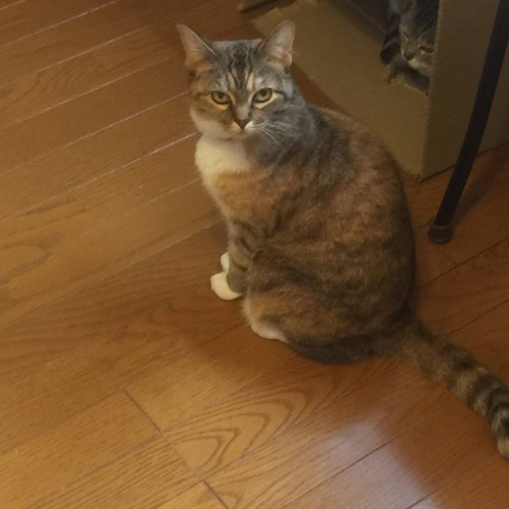 1c438bc2 e583 43ee a2bc 4fc734438e27 1562144484970