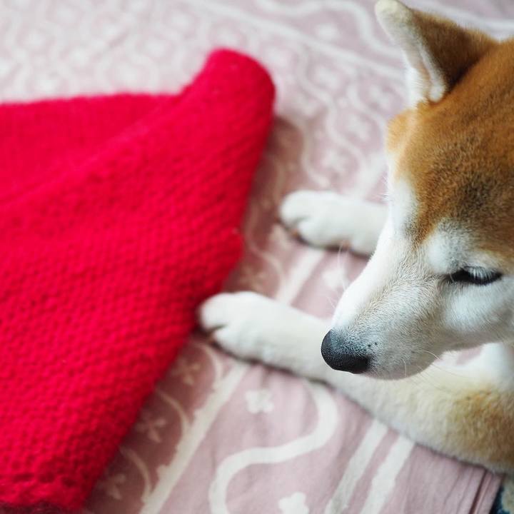 1c43a75f 4e39 4942 9c42 ec669369fe7f 1616490907084