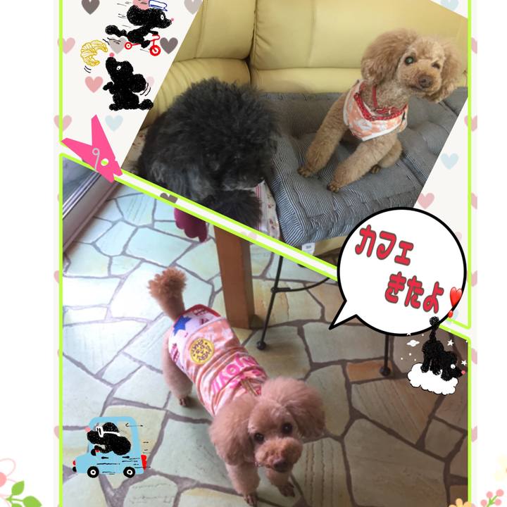 1c43c954 8d31 4968 9c3c 79feb5c8a1df 1525076878039