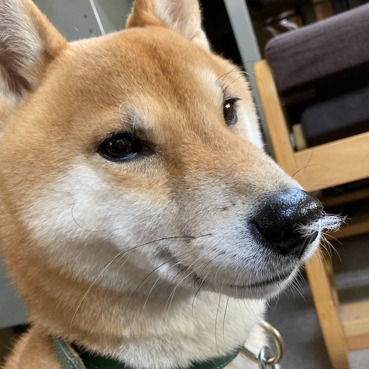 1c43e7b2 7602 44fb 8a18 1750dd5b0fa7 1610003133781