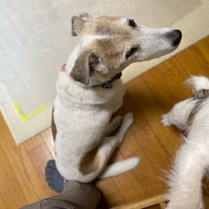 1c441295 5056 4bc6 867d 027a3d5efab9 1705641163991