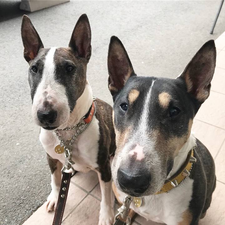 1c448639 5e27 4ff9 9228 493736fc1bae 1521901728106