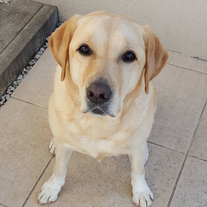 1c4498ec 01d6 48b8 ade3 0faedbbbb96b 1511486201345