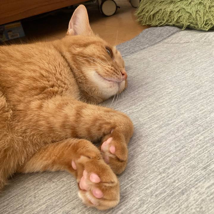 1c44b6f1 7392 4552 bba6 8fc096328c30 1758875936370