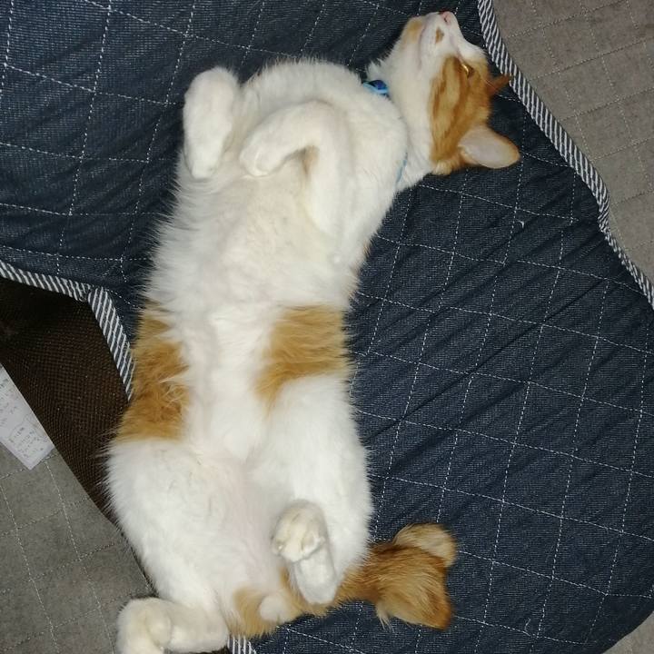 1c44bd3d 45dd 4212 911e 77dac5b5d0a3 1590835096646