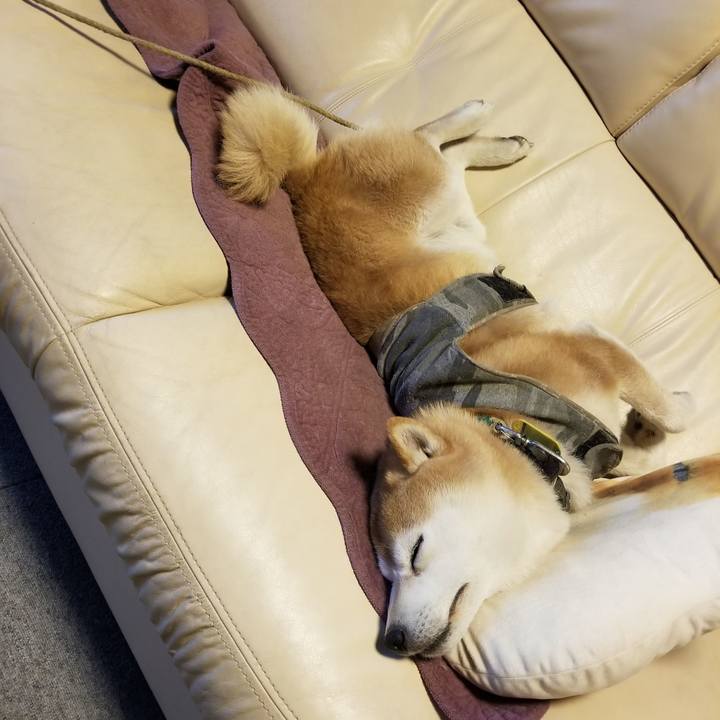 1c44c5ee 21f1 4c7f 8232 dab0b976915f 1647082993119