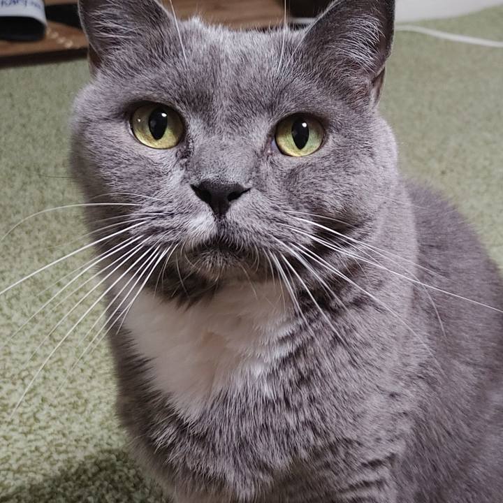 1c44c88b 1cda 49e2 ab01 982ba314117d 1726717864014