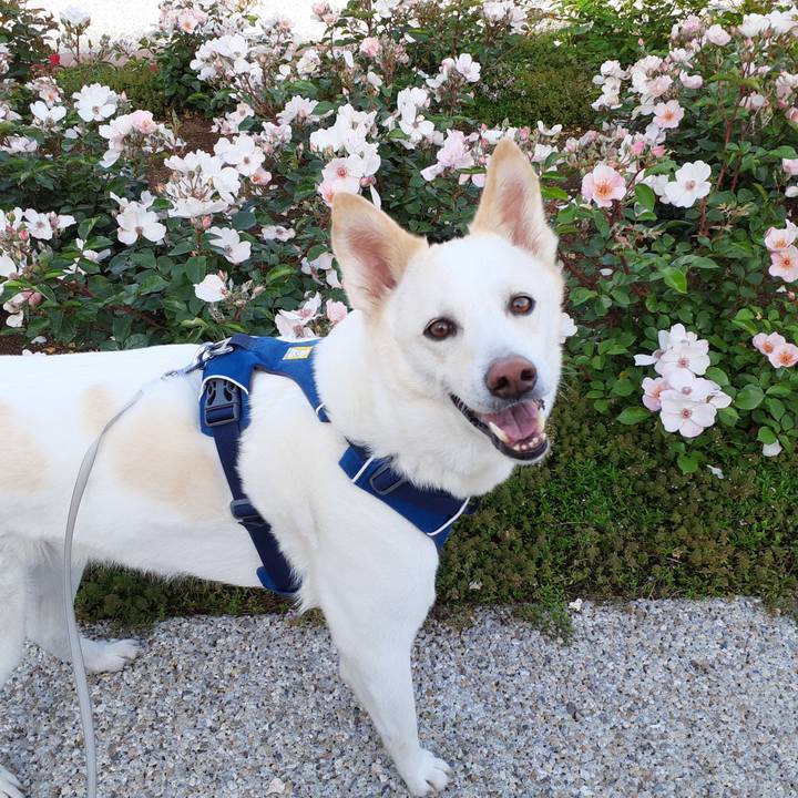 1c44fc6a 5225 4a4d ab4d dbe30bfc3e66 1683257485373