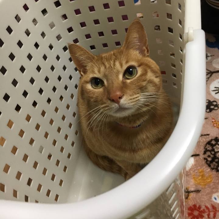 1c450de8 1621 4ae7 b000 eb62f7891f80 1517843001783