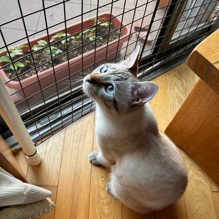 1c454d33 4793 4da8 abd1 eafc3322d687 1751060520147