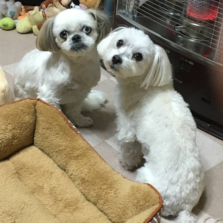 1c458260 59f3 400c b9c3 1260313a27d2 1543840436276