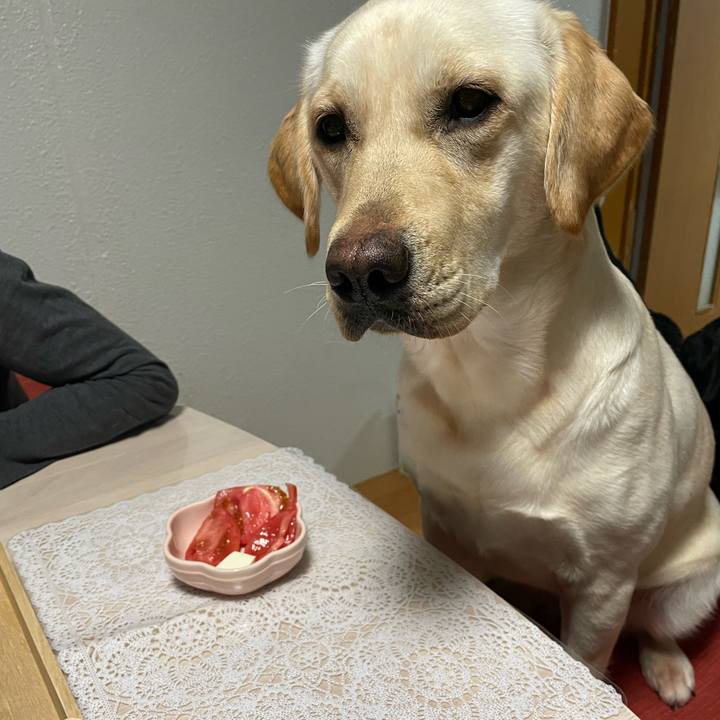 1c45b84a 3b50 41f5 9f31 54fab6d18ab8 1650725252377