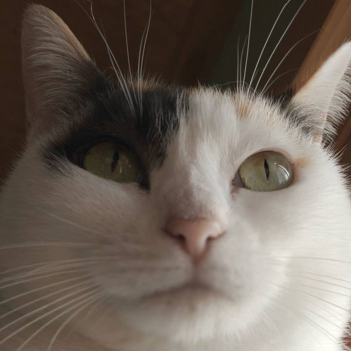 1c45be57 f75f 4ede 8106 f3a6749e419a 1543887958663