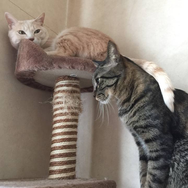 1c45e99d c9c3 46d7 b0df c6072f0914ce 1542632974910