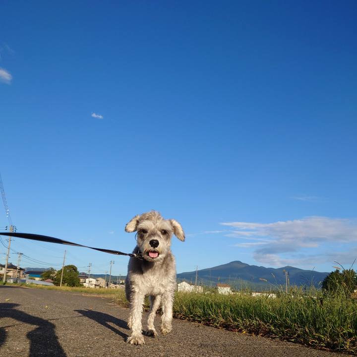 1c4609a8 d800 4671 a3d9 baee4d6d4706 1759187512777