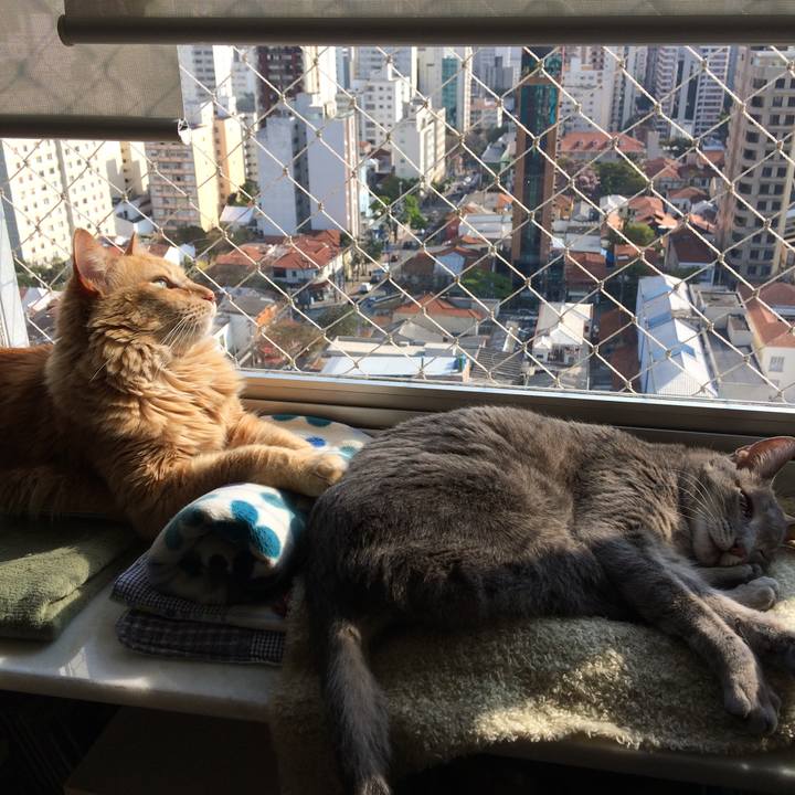 1c465446 4f7d 49a2 9b5e f84e76bdb960 1538330916034