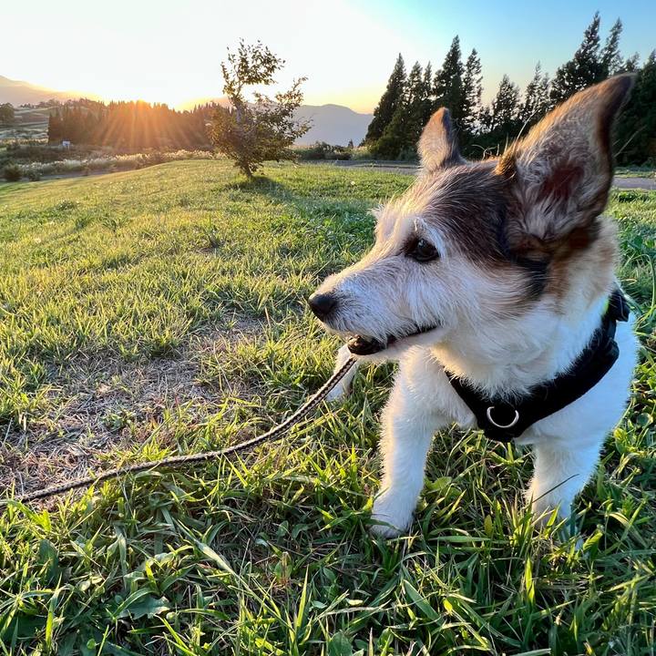 1c46ae6c ba57 4d33 b386 8ac227d10f18 1759112338511