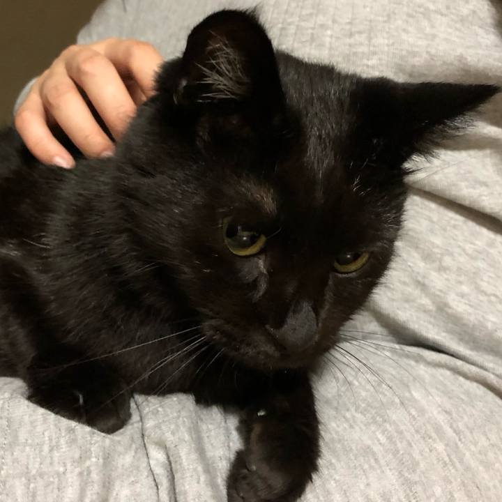 1c46ccf7 c3ef 4251 9209 3cb7cc7deac2 1564147724465