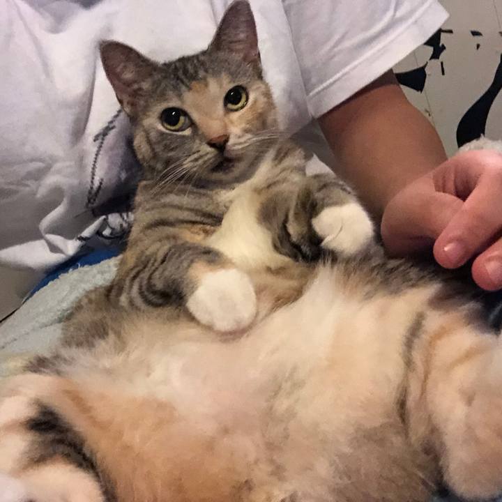 1c46cfe3 a60d 4de7 aab0 77d6531e9e17 1596892947232