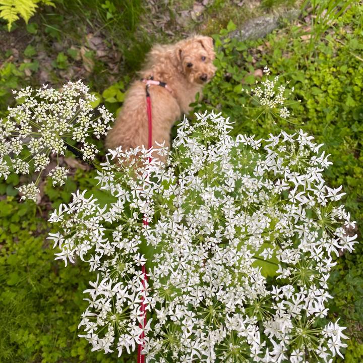 1c46f247 f929 4eb3 b40c a481076897a7 1655112562569