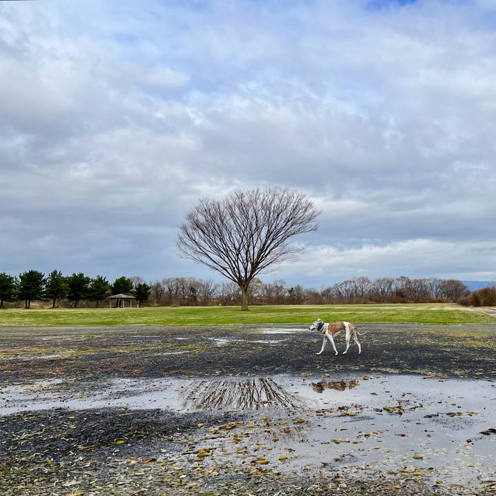 1c46fc4f 2f53 4104 a6b5 3a7e3d62311e 1764662507117