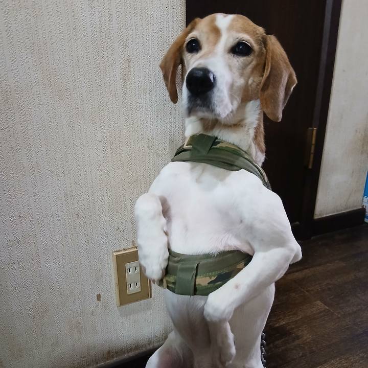 1c4711b0 e280 45cd 8f33 e7740bbdec16 1772448825446