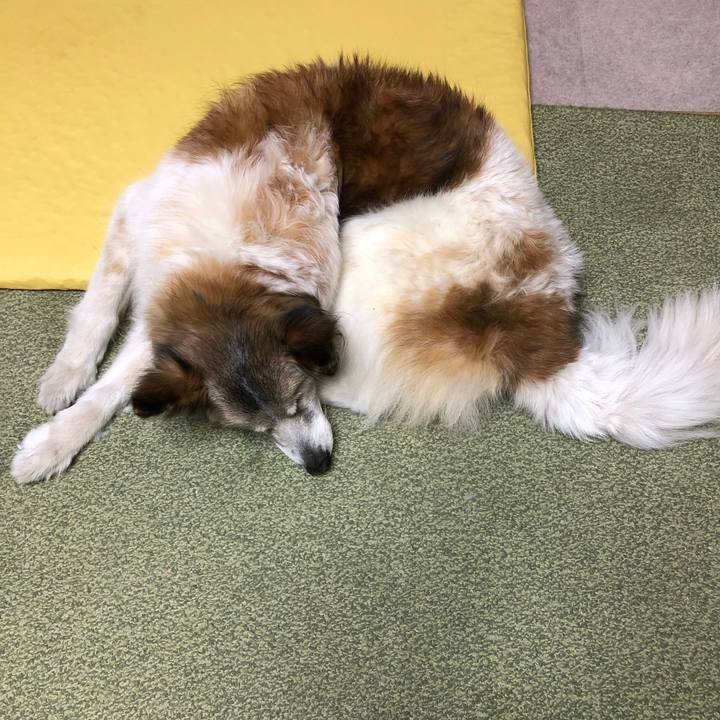 1c471540 3cdf 49a0 a23c 6833cc7bde73 1550761059894